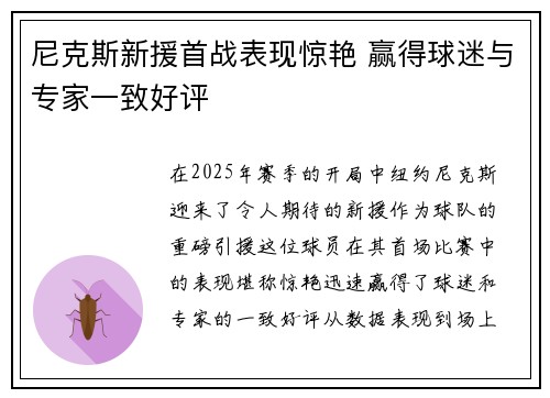 尼克斯新援首战表现惊艳 赢得球迷与专家一致好评