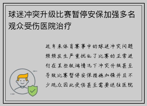 球迷冲突升级比赛暂停安保加强多名观众受伤医院治疗